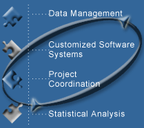 Data Management, Customized Software Systems, Project Coordination, Statistical Analysis